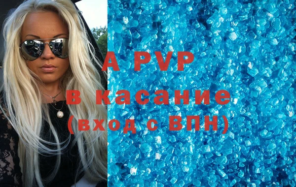 spice Богородицк