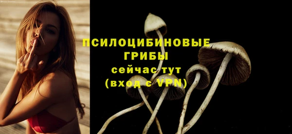 spice Богородицк