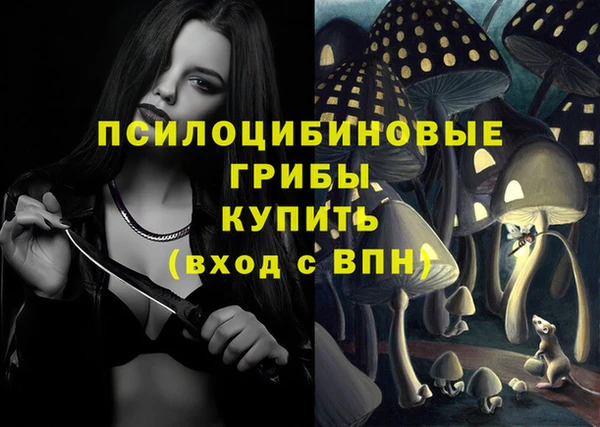 героин Богданович