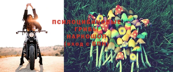 spice Богородицк
