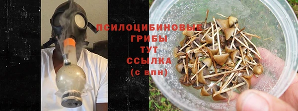 героин Богданович