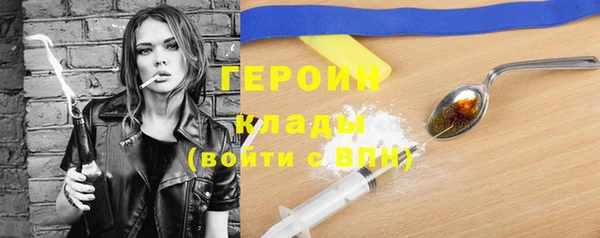 spice Богородицк