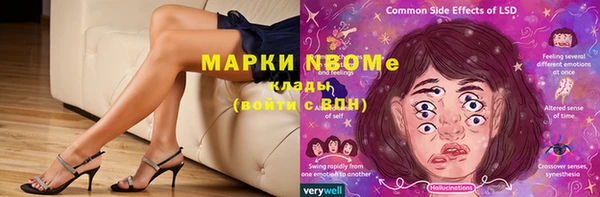 spice Богородицк