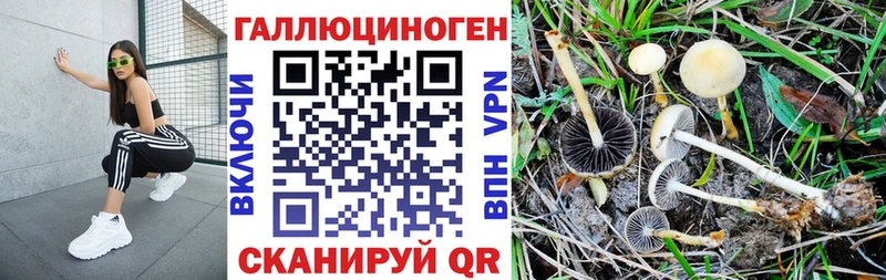 Галлюциногенные грибы ЛСД  ссылка на мегу как войти  Южноуральск 